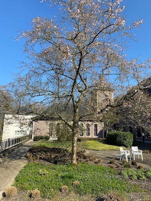 Zevenbergen1